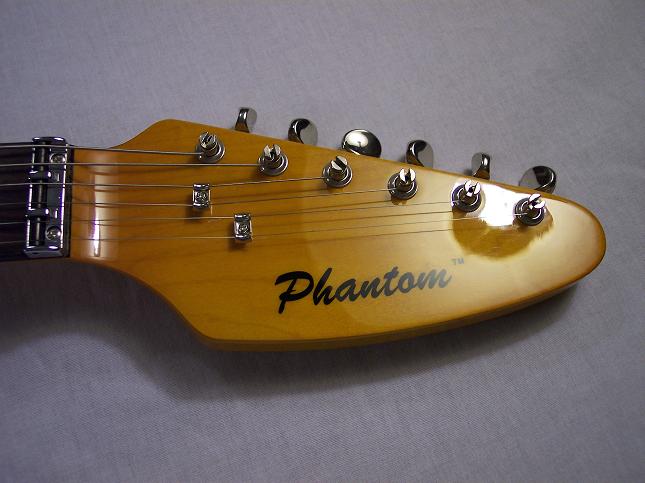Teardrop Hollow Body Picture 3